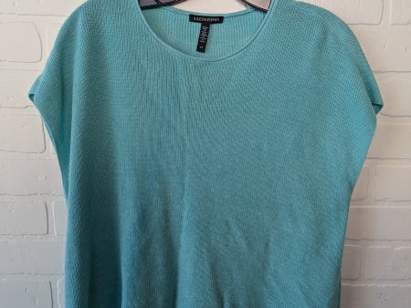 Sweater Short Sleeve By Eileen Fisher In Blue, Size: S Hot on Sale