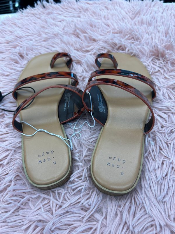 Sandals Flats By A New Day In Brown, Size: 8.5 Supply